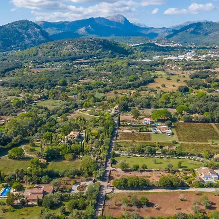 Ferrer * Pollensa